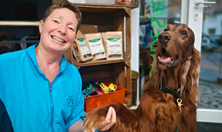 Hundefriseur Auffrischungseminar in Mössingen