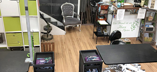 Ausbildung zum qualifizierten Hundefriseur