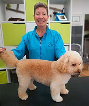 Bewertung Hundefriseur Fortbildung