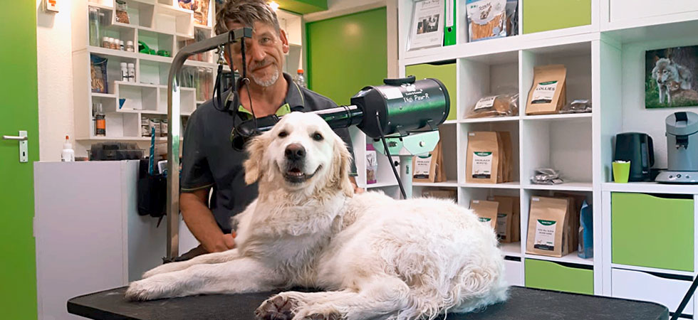 Hundesalon FellCheck in Gomaringen Fellpflege beim Hundefriseur in Gomaringen