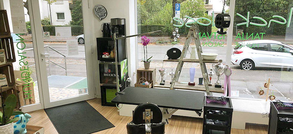 Im Hundefriseursalon in Mössingen