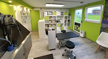 Blick in den Hundesalon Im Hundesalon Gomaringen